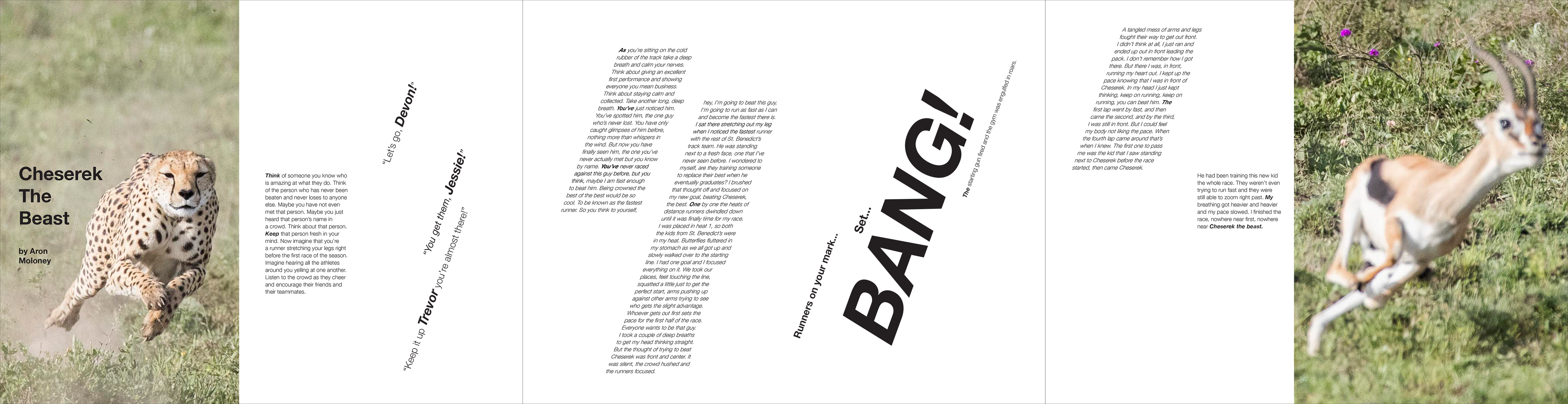 Editorial explorations